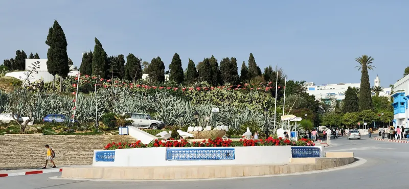 View of Tunisia